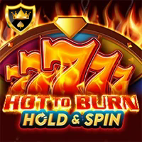 HOT TO BURN HOLD AND SPIN